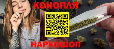 сатива Аргун
