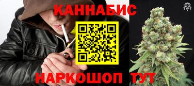 сатива Аргун
