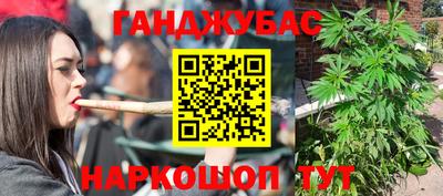 сатива Аргун