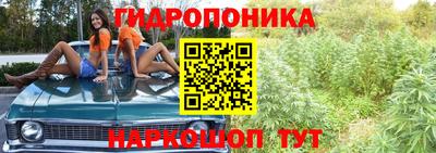 spice Апрелевка
