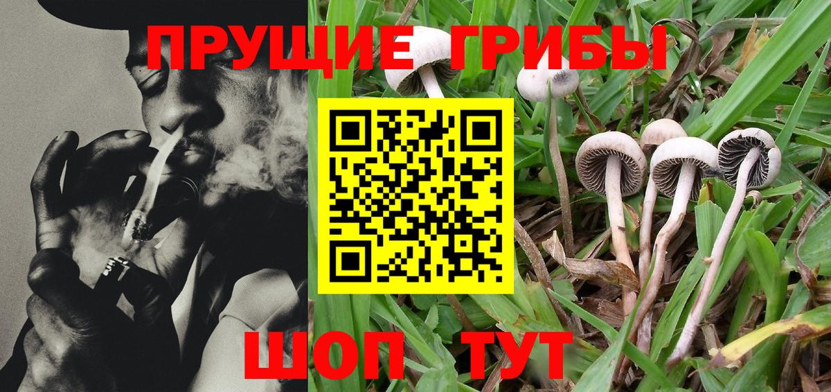 Псилоцибиновые грибы MAGIC MUSHROOMS  сколько стоит  Воткинск  Галлюциногенные грибы GOLDEN TEACHER  Вход с VPN 